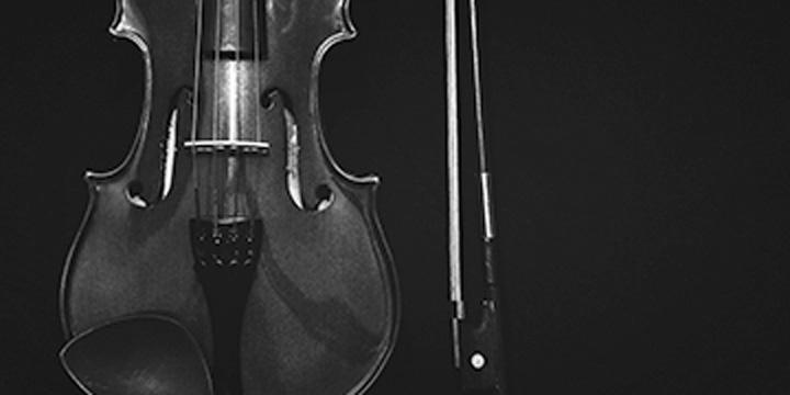 Violin Lessons (Beginner)